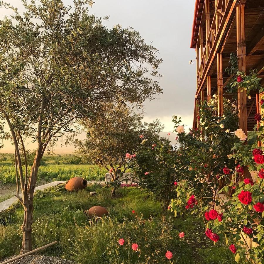 Elizbar Talakvadze Winery Vila Kardanakhi Exterior foto