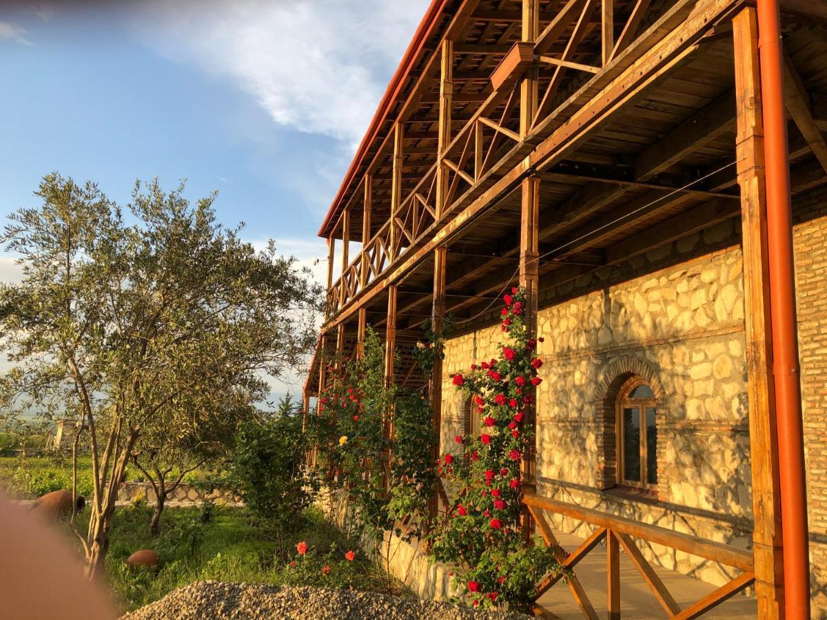 Elizbar Talakvadze Winery Vila Kardanakhi Exterior foto