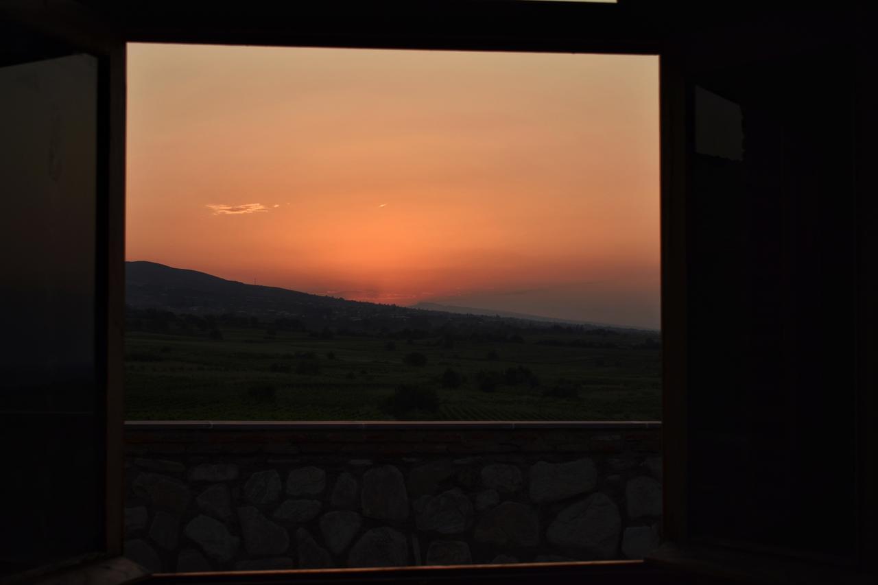 Elizbar Talakvadze Winery Vila Kardanakhi Exterior foto